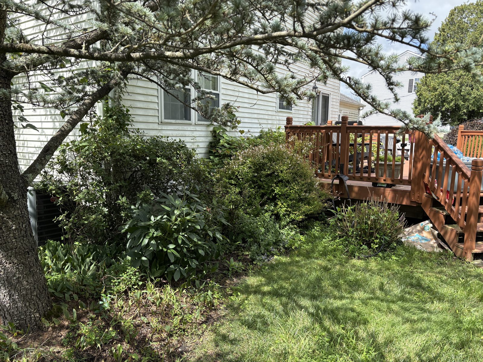 Landscaping project before